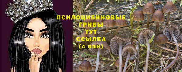 круглые Алексин
