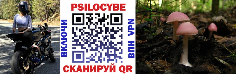 ОМГ ОМГ как зайти  наркотики  Дмитриев  Галлюциногенные грибы прущие грибы 